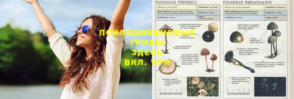 наркотики Богданович