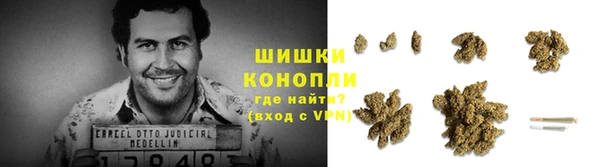 МДПВ Богородицк