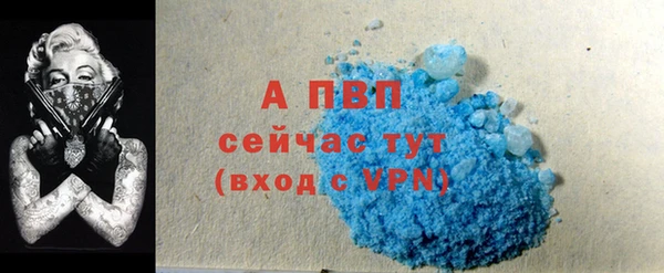 СК Богородск