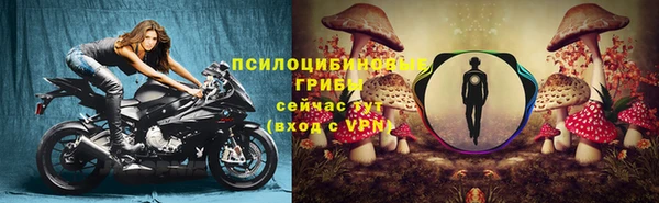 наркотики Богданович