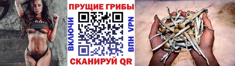 МЕГА ссылки  Мценск  Галлюциногенные грибы Magic Shrooms 